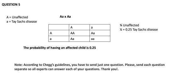 QUESTION 5 Aa x Aa A = Unaffected a = Tay Sachs disease 34 Unaffected 74 = 0.25 Tay Sachs disease 1 A AA Аа la Aa aa Aa аа Th