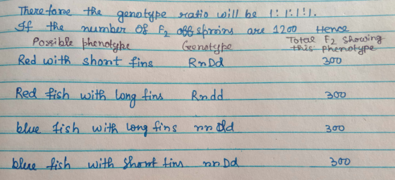 Therefore the genotype ratio will be 1:1.1!). If the number of fo off sbroins are 1200 Hence Possible phenotyke Total F2 show