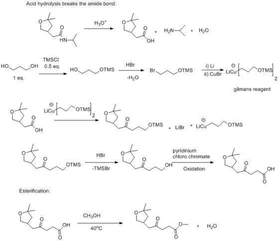 Acid hydrolysis breaks the amide bond: H30* 2 + H NK + H2O OH TMSCI HON OH 0.5 eq. HBr i) Lion HO O TMS - BrOTMS ii) CuBr Lic