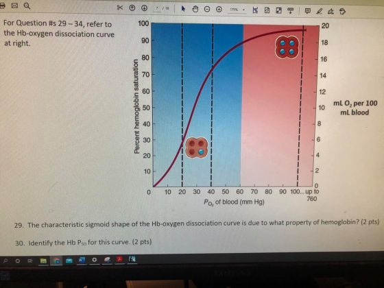 © © 110 | Amo 15% For Question #s 29-34, refer to the Hb-oxygen dissociation curve at right. 112 Percent hemoglobin saturatio