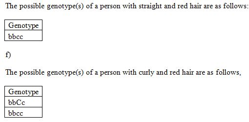 The possible genotype(s) of a person with straight and red hair are as follows: Genotype bbcc f) The possible genotype(s) of