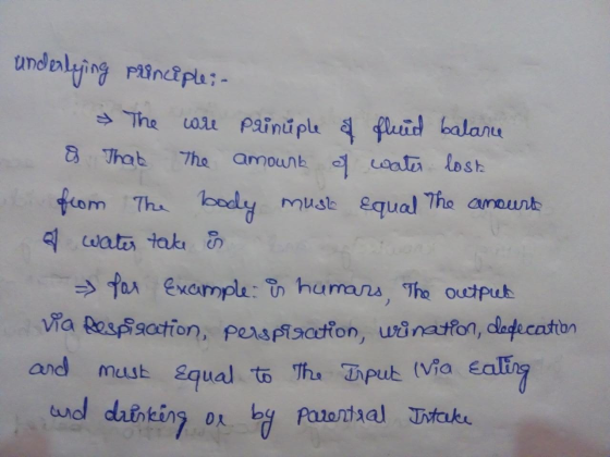 The wit painuplu leid balanu 8 Thab 7he amounb at losh fom Tha oedly Musb Cqual The anaunt wate tak & Par Example: humans,The