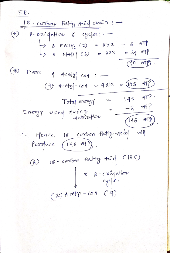 5B. 18 -carbon Fatty Acid chrain :- ß- oxidation 8 eylles: — F 8 FADH2 (2) = 8x2 5 8 NADH (3) = 8x3 = 16 ATP = 24 ATP (40 ATD