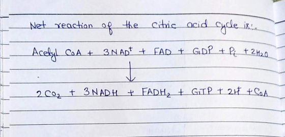 Net reaction of the Citric acid cycle ikin Acetyl CoA + 3NaDt + FAD + GDP + P + 2H2O 2002 + 3 NADH + FADH₂ + GTP + 2H + CA
