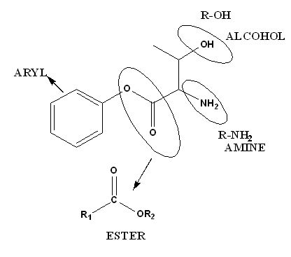 R-OH ALCOHOL OH ARYL NH) R-NH, AMINE R1 OR2 ESTER