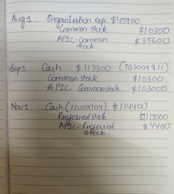 / / Augs. Organisahon op $45900 / $10300 $35600 APIC-Common stock. / / dep 1 Cash $113300 (T0300x411) Common stock $10300 API