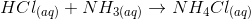 HCl(aq) + NH3(aq) + NH4Cl(aq)