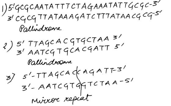 1)5-GCGCAATA TTTCT AGAAATAT TGCGC-5? 3 CGCGTTATAAA GATCTTTATAACGCG-57 Pallindrome 2) 5 TTAGCAC GTGCTAA 3/ 3 AATCG TGCACGAT