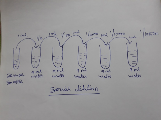ime o ime 1/100 Ime 1/1000 ime 1/10000 1/160,000 9 m anlaml water water Sewage a me water om water water Sample serial délut
