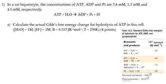 1) In a rat hepatocyte, the concentrations of ATP, ADP and Pi are 3.4 mM, 1.3 mM and 4.8 mM, respectively. ATP + H2O → ADP +