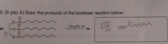 3. (9 pts) A) Draw the products of the biodiesel reaction below: at CH-он, н- meaRn mco OH