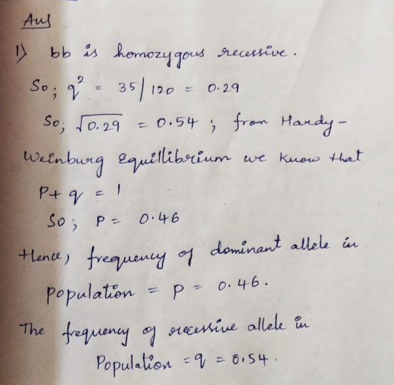 Aus 1) bb is homozygous recessive. So; q = 35/120 = 0.29 So; 10. 29 = 0.54 ; from Handy- Weinburg equillibrium we kuow that P