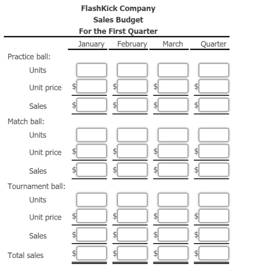FlashKick Company Sales Budget For the First Quarter January February March Quarter Practice ball: Units Unit price $ Sales M