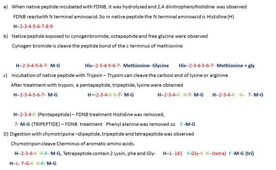 a) When native peptide incubated with FDNB, it was hydrolysed and 2,4 dinitrophenylhistidine was observed FDNB reactwith N te