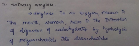 sabvany amya s an he mouTh, stomach hal ps The Eitatfon hyoy 9 digaoion 9 caubohy daa Palysachaaicu disaccharides