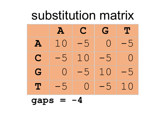 substitution matrix A C GT A 10 -5 0 -5 C -5 10 -5 0 G 0 -5 10 -5 T -5 0 5 10 gaps = -4