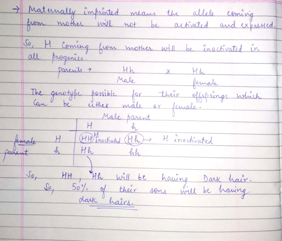 → Maternally imprinted means the allele activated from mother coming and expressed. will not be So, H coming from mother will