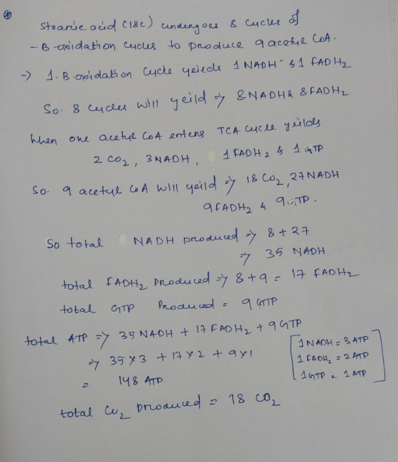 stearue oc CoA Soto tak NADH Pro dureㅢウB+24 ク 35 ry4pH 1f4042 22ATP 2 148 AT