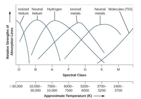 lonized Neutral Hydrogen lonized helium helium Neutral Molecules (TiO) metals 7 metals Spectral Class 30,000 10,0007500600052