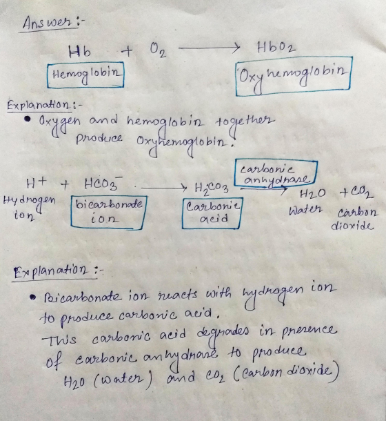 Answer: Hb - & [Hemoglobin H602 Oxy nemoglobin V2 Explanation in • Oxygen and hemoglobin together produce Oxyhemoglobina H+ H