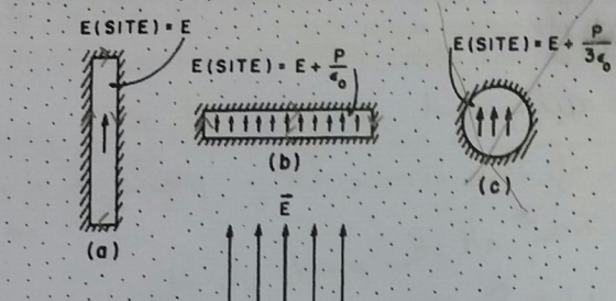 E (SITE) E E (SITE) E (b) E (SITE) E