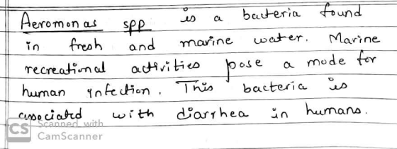 Heromonas spp is a bacteria found in fresh and marine water. Marine recreational activities pose a mode for human infection.