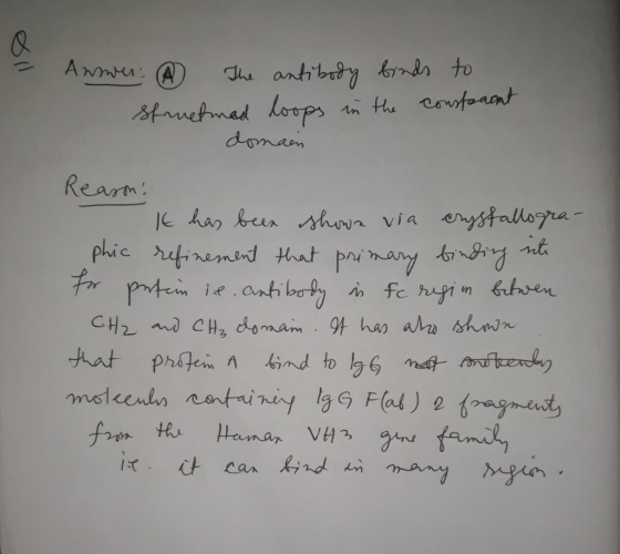 on Answer: ☆ The antibody binds to streetmed loops in the constant - domain Reason! It has been shown via crystallogra- phic
