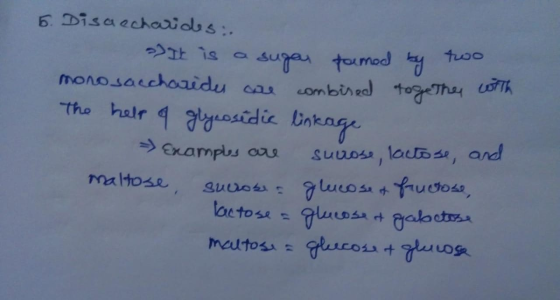 6. Disaechoidss:. monosacchoaidu car ombired togThey ofTh The halr 4 gyasidic Bnkage Exampus aas suuos, lauto se, and maltose