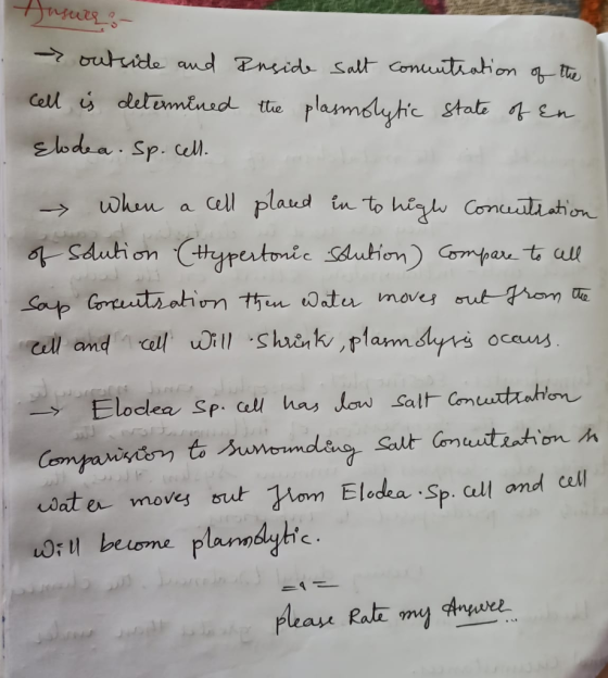 Jasures → outside and cell is determined Elodea. Sp.cell. Inside salt concentration of the the plasmolytic state of En - When