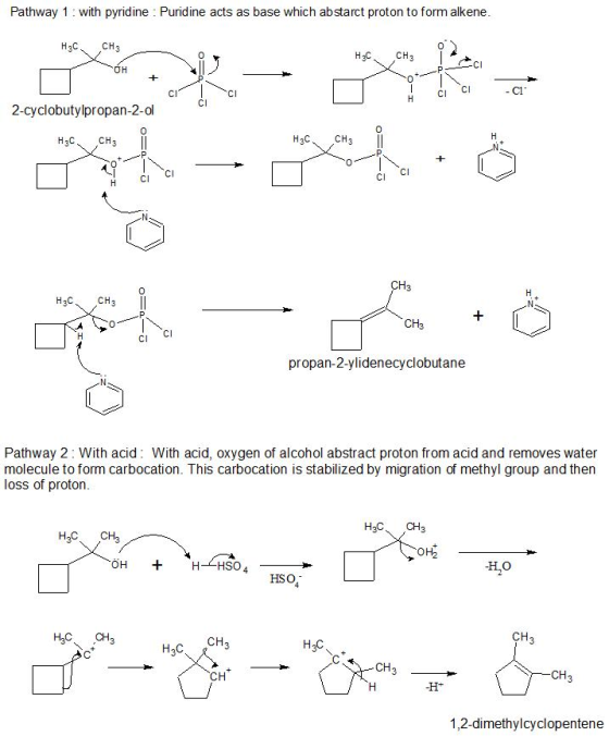 Pathway 1 with pyridine Puridine ac ts as base which abstarct proton to form alkene H3C CH3 0 0 CI CI CI 2-cyclobutylpropan-2