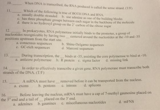 When DNA is transcribed, the RNA produced is called the sense strand. () Which of the following is true of BOTH DNA and RNA.
