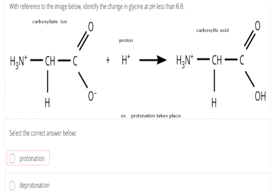 With reference to the image below, identify the change in glycine at pH less than 6.0. carboxyllate ion carboxyllic acid prot