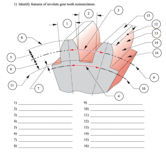 1) Identify features of involute gear tooth nomenclature. 15 12 13 14 16 10 9) 10) 2) 3) 4) 12) 13) 14) 15) 16) 7) 8)