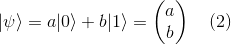 |\psi\rangle = a|0\rangle + b|1\rangle = \begin{pmatrix} a\\ b \end{pmatrix} \quad (2)