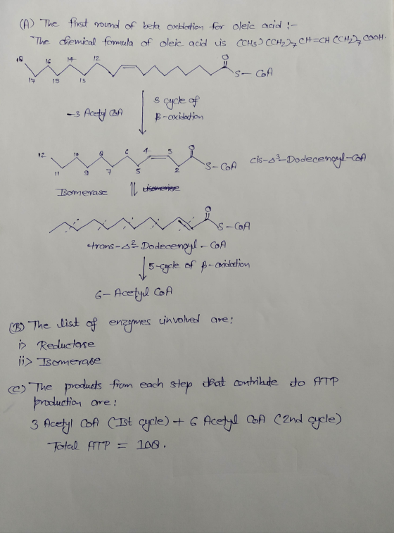 (A) The The y 16 first round of beta chemical formula of 14 12 oxidation oleic acid for oleic acid :- is CCH3 CH₂CH=CH (CH2 C