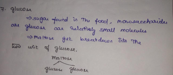 Sugau foundl Thu foodl morosacchoprides elertinaly basatdown ts The glueosr small molculus Maltose wo uirt