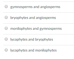 O gymnosperms and angiosperms O bryophytes and angiosperms O monilophytes and gymnosperms O lycophytes and bryophytes O lycophytes and monilophytes