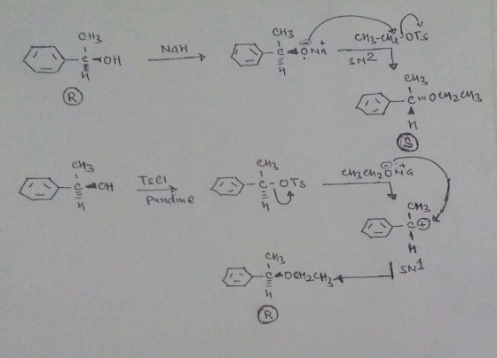 CH3 cn2-cors CH3 CH2-Ch2OTS SM2 enz enz euzen20NG Tsel OTS 40H Pundine CM3 CM3 ÇADCH2CH+ R.