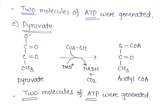 - Two molecules of ATP were generated, c) Pyruvate orced- oo ) » Мар* NADH ç=O COA-SH s-COA Ĉ=0 C=o CH3 NADA NADH pyruvate Ac