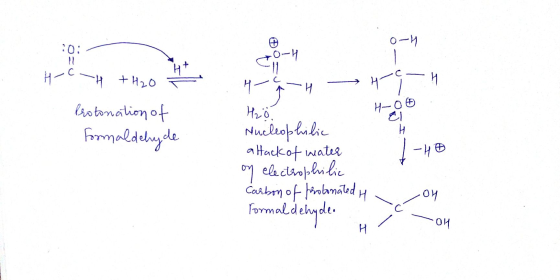 0-4 Tag 에 :0: H2H+H2O H Protonation of Formaldehyde. 4-9-H 49-H Hrö Nucleophilic attack of water on electrophilic Carbon of p