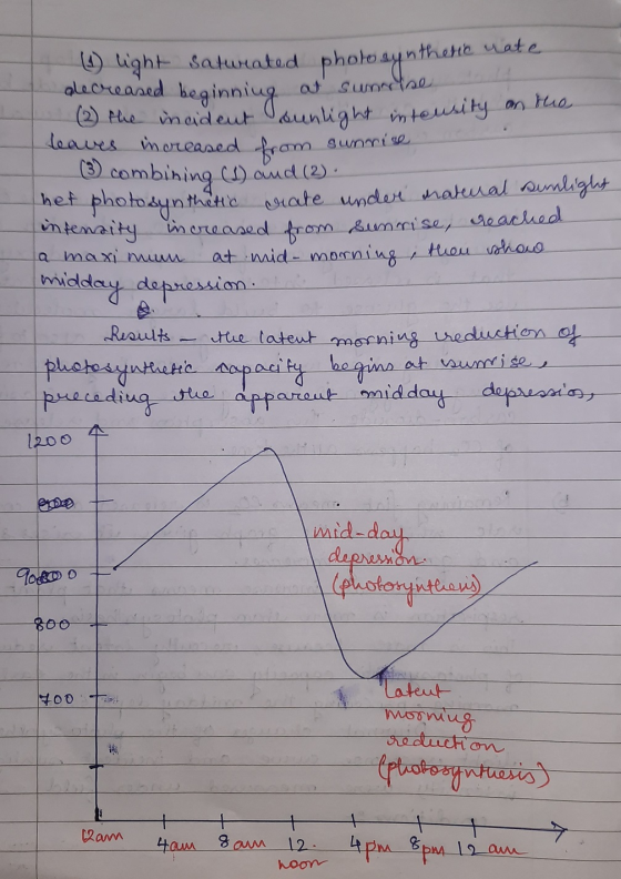 (1) light saturated photosynthete decreased beginning at sunrise 1 (2) the incident sunlight intousity leaves increased from