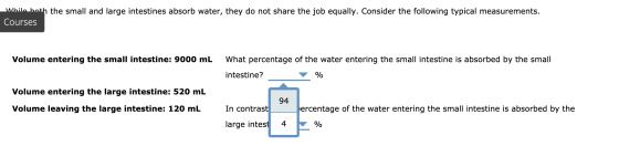While both the small and large intestines absorb water, they do not share the job equally. Consider the following typical mea