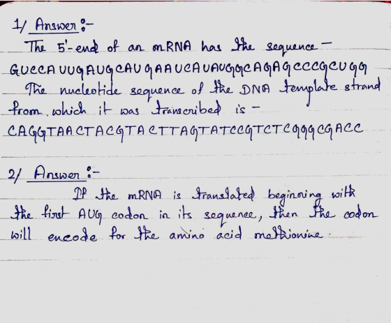 11 Answer :- - The 5-end of an on RNA has the sequence - GUCCA VUQAUG CAU GAA UCA VAUGYCA GA GOCCGeUGG - The nucleotide seque