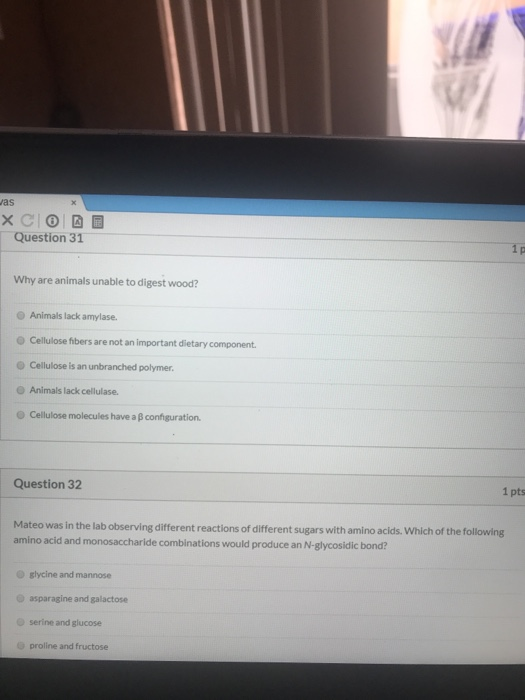 Jas X CAB Question 31 Why are animals unable to digest wood? Animals lack amylase. Cellulose fibers are not an important diet
