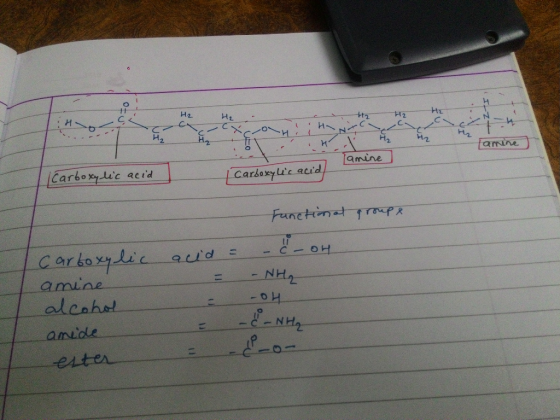 H2 IN NI t famine 0 Jamine Carboxylic acid Carboxylic acid - Functional groups C- OH acid = = - NH₂ OH Carboxylic amine alcoh
