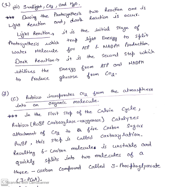 (1) (i) sunlight, cog, and H₂O . *** During the Photosynthesis two Reaction one is Light Reaction and dark Raction is occur.