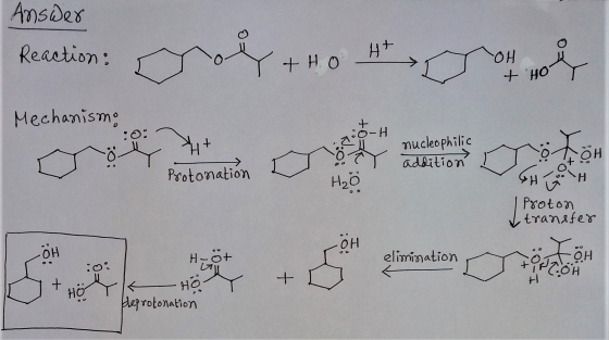 Answer Reaction: Mechanismo +HO on no net :0: o-H >H+ nucleophilic addition tör + Protonation بري 0: I vete Proton transfer о