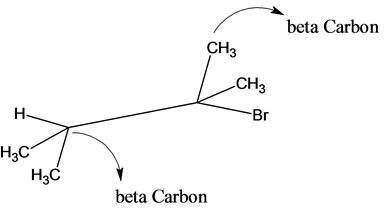 beta Carbon
CH3
НК
H₃C /
Hzc
beta Carbon