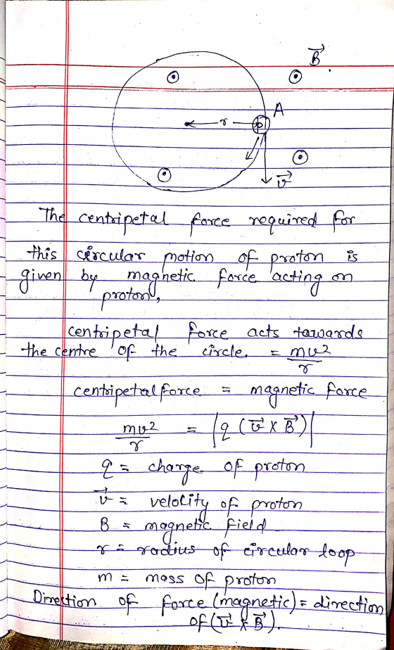 B A o The centripetal cércular motion force required for this is of proton circle o DF muz given by magnetic force acting pr