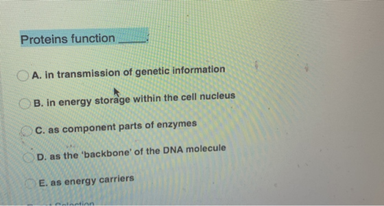 Proteins function A. in transmission of genetic information B. in energy storage within the cell nucleus C. as component part
